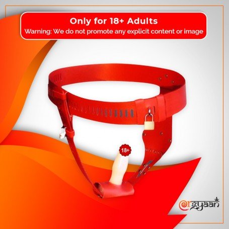 Chastity Lock Device for Women BDSM-002