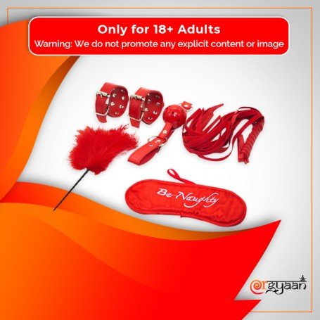 BDSM SEX KIT Bracelet+Whip+Goggles+Feather+Mouth Ball GagBDSM-001