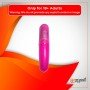 Pleasure Centre Bullet Vibrator BV-022