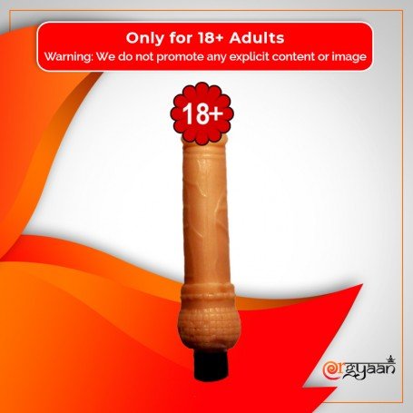 Mr. Dong Realistic Vibrator RSV-017