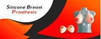 Buy Silicone Breast Prosthesis at Best Price In Seoni | Sex Toys Store